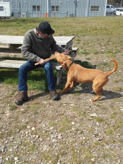 Technical Drive Off-leash Dog Park - Oak Harbor, WA