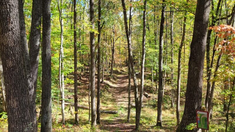 Needleseye Park - Oak Hill, WV