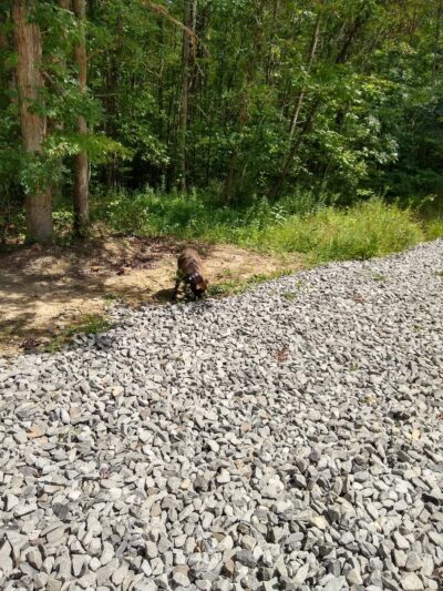 Needleseye Park - Oak Hill, WV