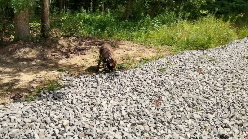 Needleseye Park - Oak Hill, WV