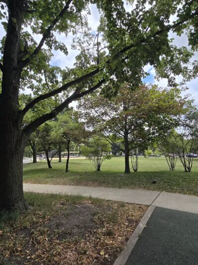 Maple Park - Oak Park, IL