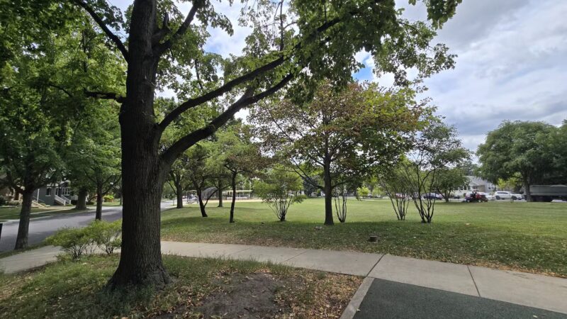 Maple Park - Oak Park, IL