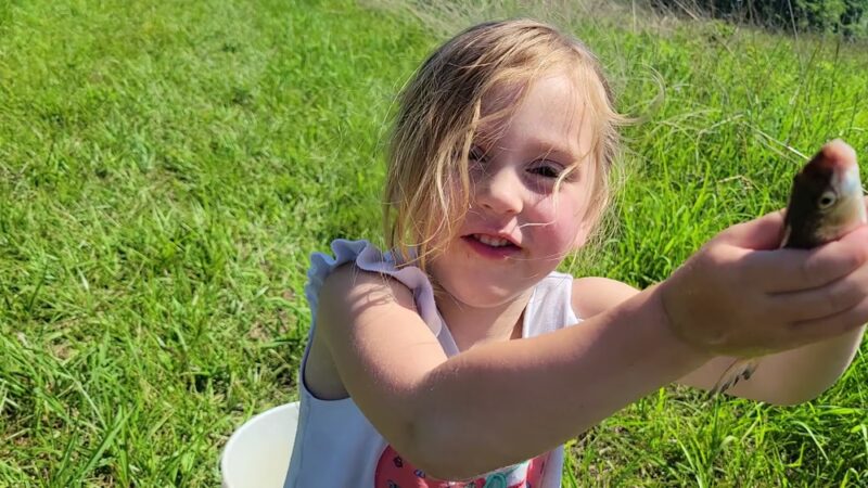 Maintz Wildlife Preserve - Oak Ridge, MO