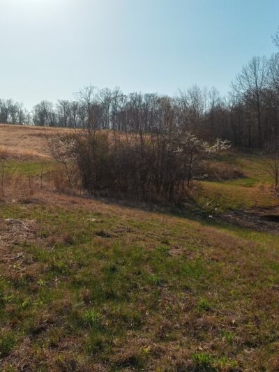 Maintz Wildlife Preserve - Oak Ridge, MO