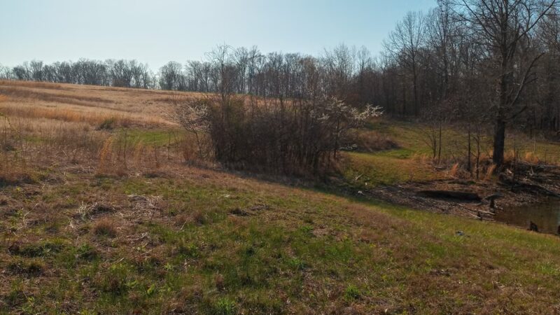 Maintz Wildlife Preserve - Oak Ridge, MO