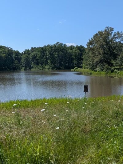 Maintz Wildlife Preserve - Oak Ridge, MO
