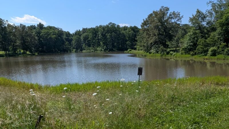 Maintz Wildlife Preserve - Oak Ridge, MO