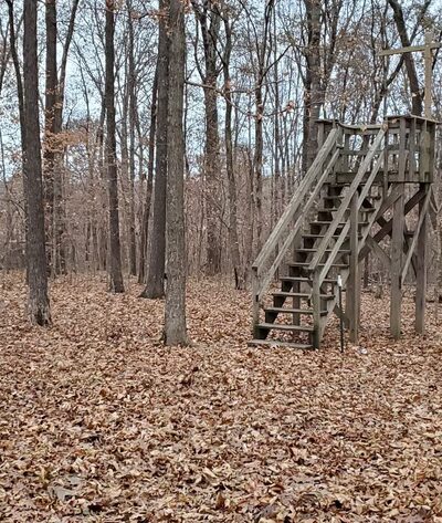 Maintz Wildlife Preserve - Oak Ridge, MO