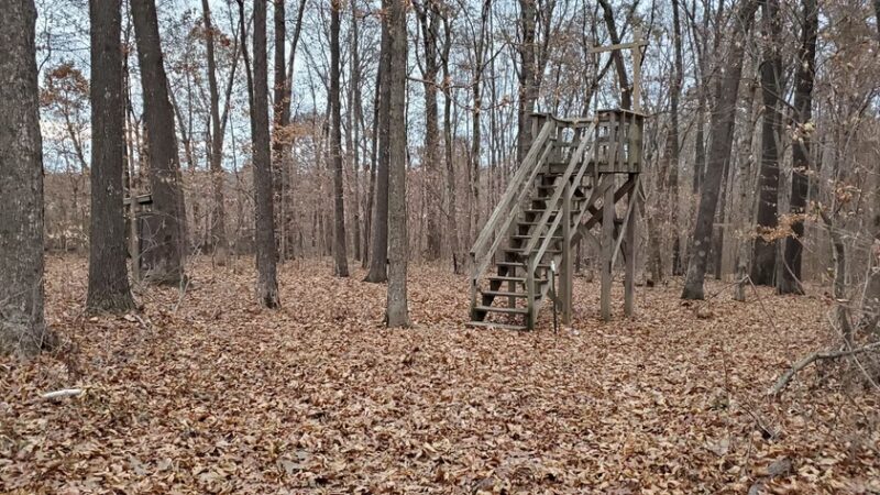 Maintz Wildlife Preserve - Oak Ridge, MO