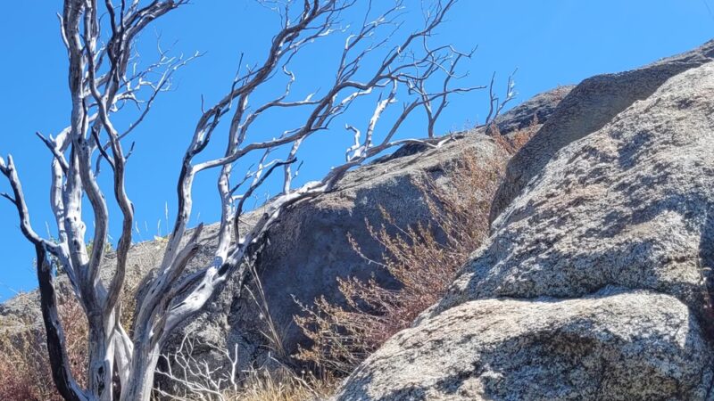 Mono Trail at Bass Lake - Oakhurst, CA