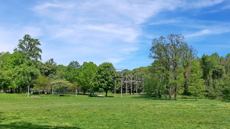 Alley Pond Adventure Course - Oakland Gardens, NY