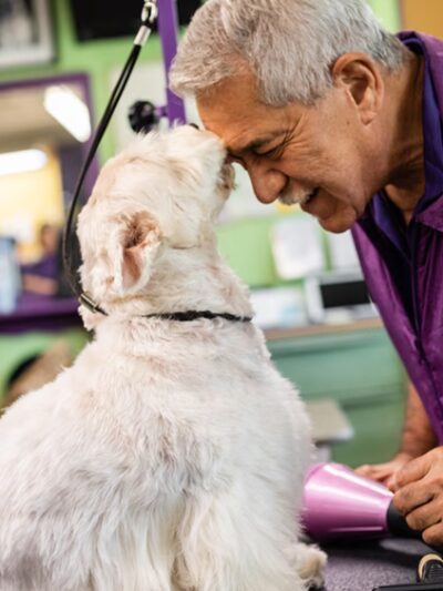 Central Bark Fort Lauderdale - Oakland Park, FL