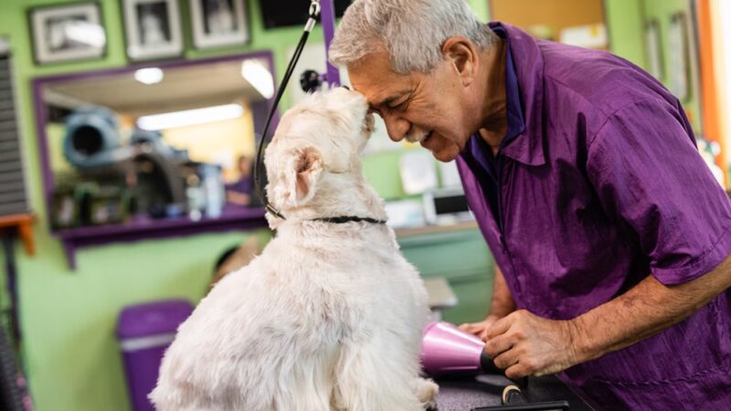 Central Bark Fort Lauderdale - Oakland Park, FL