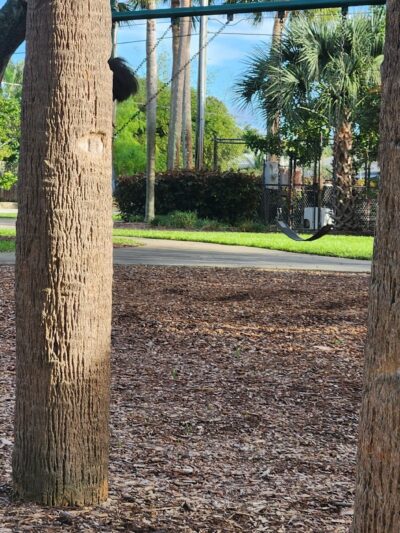 North Andrews Neighborhood Park - Oakland Park, FL