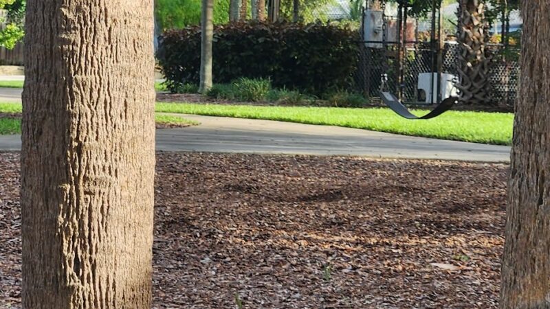 North Andrews Neighborhood Park - Oakland Park, FL