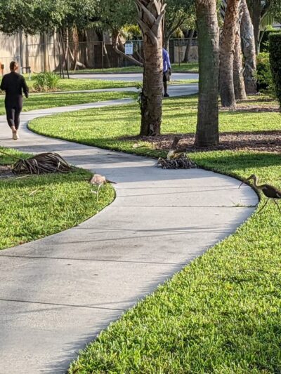 North Andrews Neighborhood Park - Oakland Park, FL