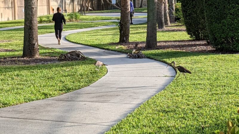 North Andrews Neighborhood Park - Oakland Park, FL