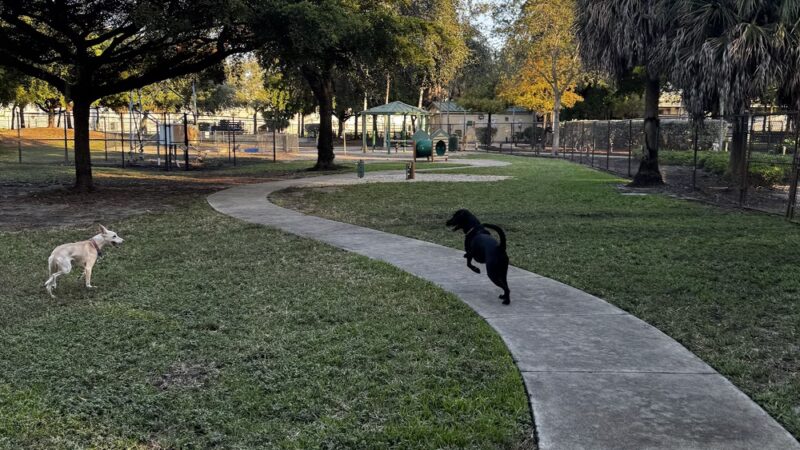 Oakland Bark - Oakland Park, FL