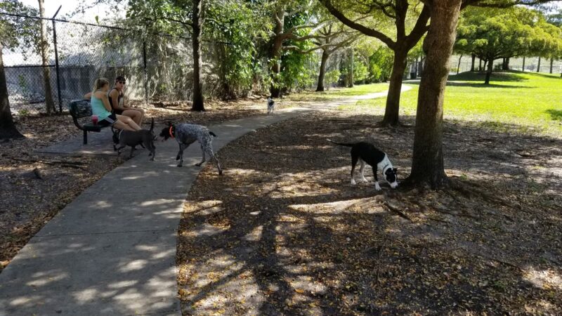 Oakland Bark - Oakland Park, FL