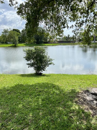 Royal Palm Park (North entrance) - Oakland Park, FL