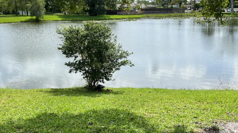 Royal Palm Park (North entrance) - Oakland Park, FL