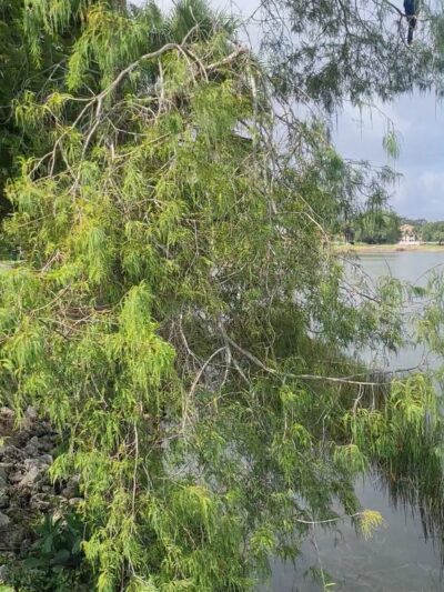 Veteran's Park - Oakland Park, FL