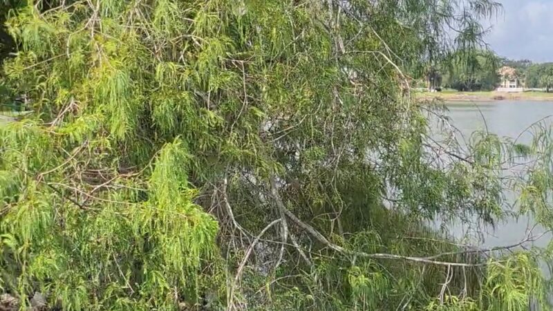 Veteran's Park - Oakland Park, FL