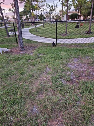 Wag Park - Oakland Park, FL