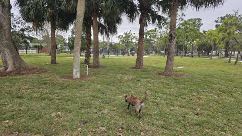 Wag Park - Oakland Park, FL