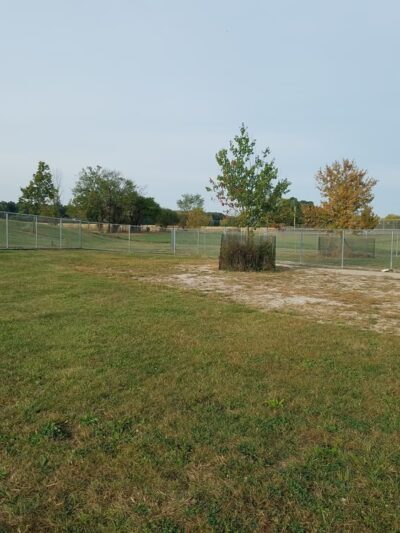 Oberlin Dog Park - Oberlin, OH