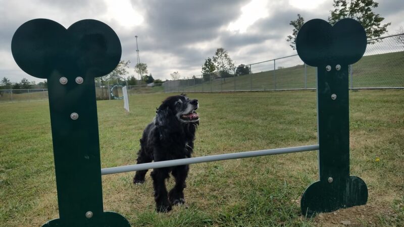 Oberlin Dog Park - Oberlin, OH