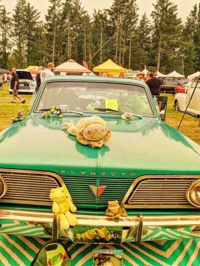 Wilson Field - Ocean Park, WA