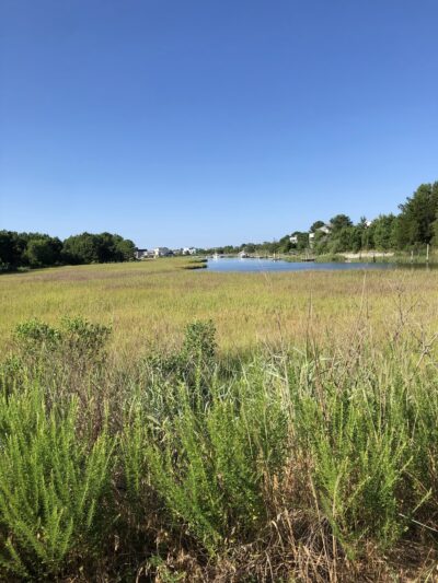 Fresh Pond Trailhead Parking - Ocean View, DE
