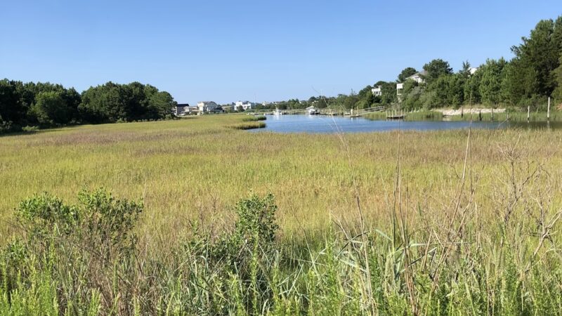 Fresh Pond Trailhead Parking - Ocean View, DE