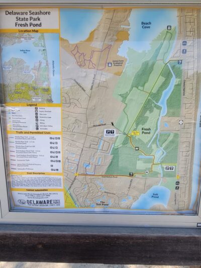 Fresh Pond Trailhead Parking - Ocean View, DE