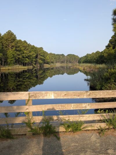 Fresh Pond Trailhead Parking - Ocean View, DE