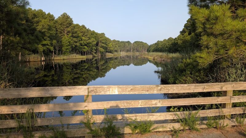 Fresh Pond Trailhead Parking - Ocean View, DE