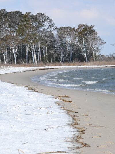 James Farm Ecological Preserve - Ocean View, DE