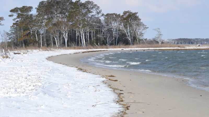 James Farm Ecological Preserve - Ocean View, DE