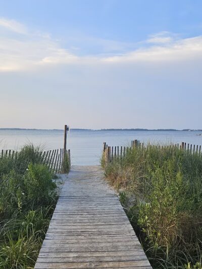James Farm Ecological Preserve - Ocean View, DE