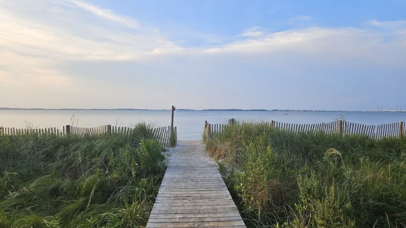 James Farm Ecological Preserve - Ocean View, DE