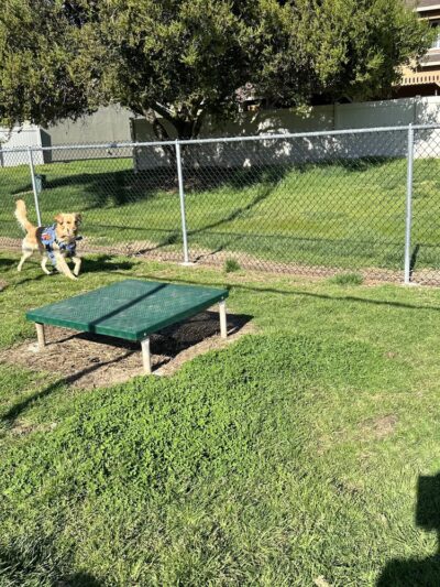 Dog Park O’Neill Heights - Oceanside, CA