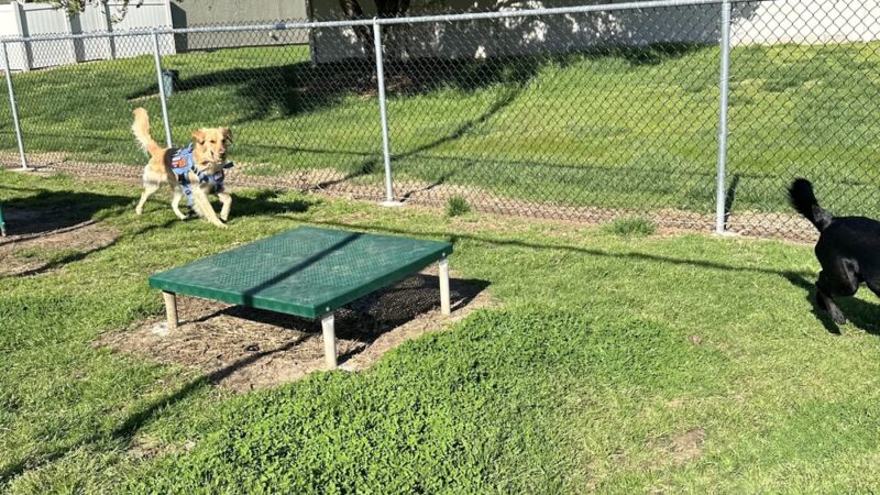 Dog Park O’Neill Heights - Oceanside, CA
