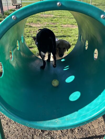 Dog Park O’Neill Heights - Oceanside, CA