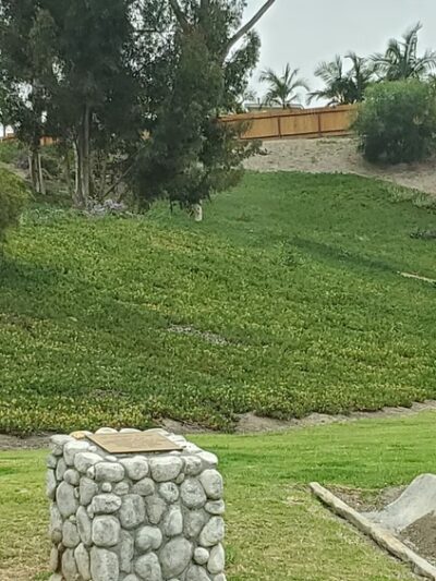Joseph Carrasco Park - Oceanside, CA
