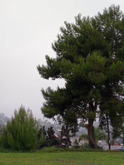 Joseph Carrasco Park - Oceanside, CA