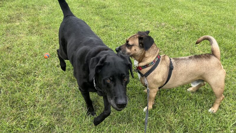 Marlado Highlands Park - Oceanside, CA