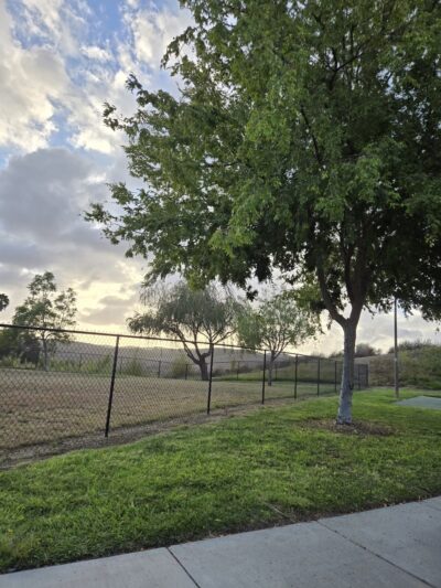 SLR Dog Park - Oceanside, CA