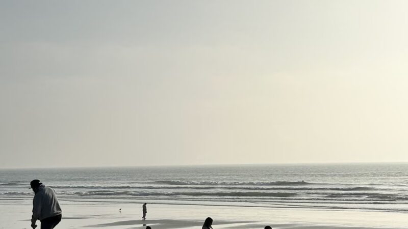 Strand Beach Park - Oceanside, CA