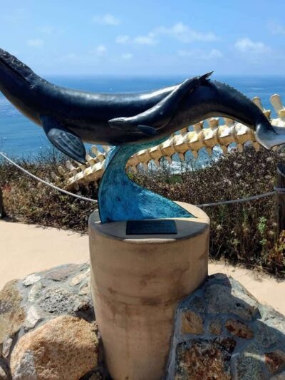 Stuart Mesa District Dog park - Oceanside, CA